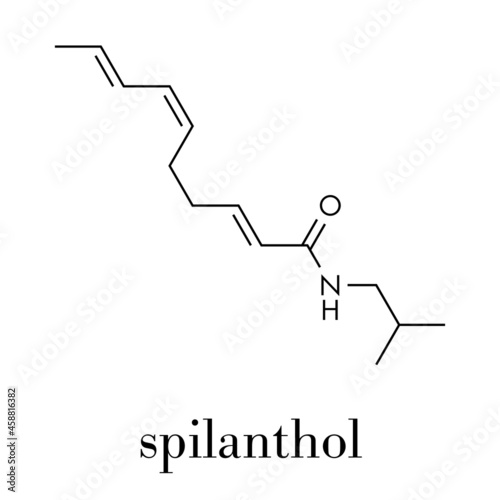 Spilanthol molecule. Local anesthetic present in Acmella oleracea (toothache plant). Skeletal formula. photo