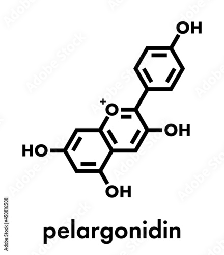 Pelargonidin pigment molecule. Skeletal formula.