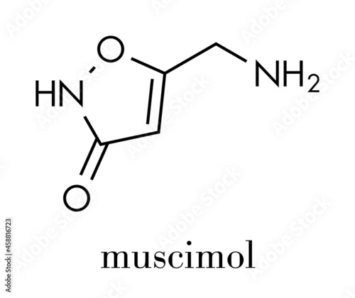 Muscimol (agarin, pantherine) molecule. Main psychoactive component of fly agaric (Amanita muscaria). Skeletal formula.