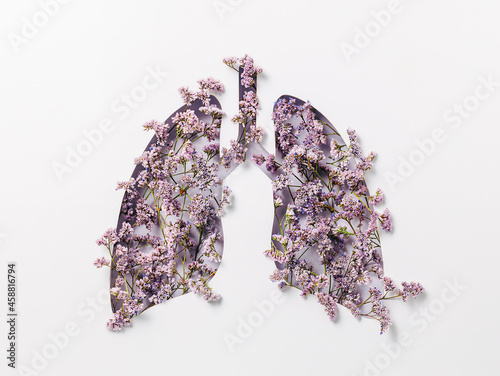 Artificial human lungs filled with lilac field flowers and lavenders isolated on a white background. The time of seasonal allergies and blooming season.  Minimal coronavirus or pneumonia concept. photo