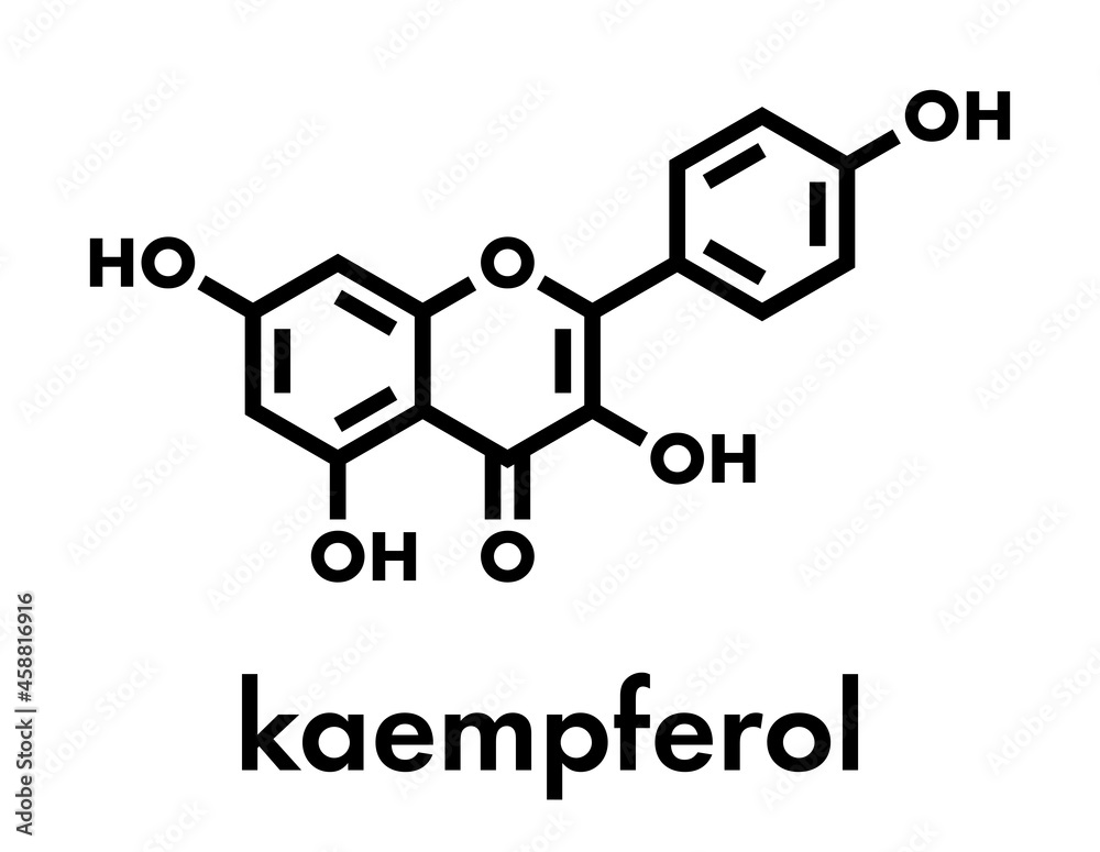 Kaempferol antioxidant molecule. Skeletal formula. Kaempferol antioxidant molecule. Skeletal formula.