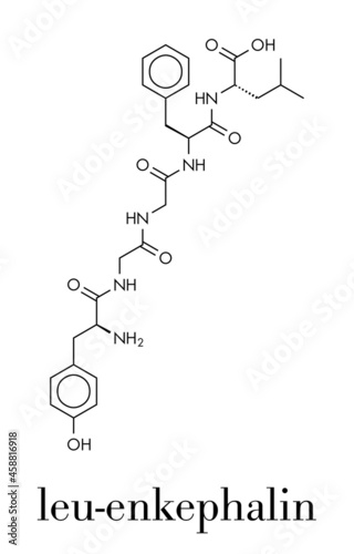 Leu-enkephalin endogenous opioid peptide molecule. Skeletal formula. photo