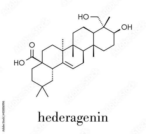 Hederagenin common ivy molecule. Skeletal formula. photo
