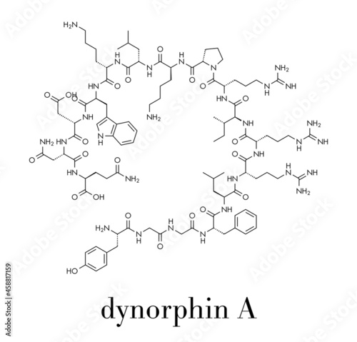 Dynorphin a endogenous opioid peptide molecule. Skeletal formula.
