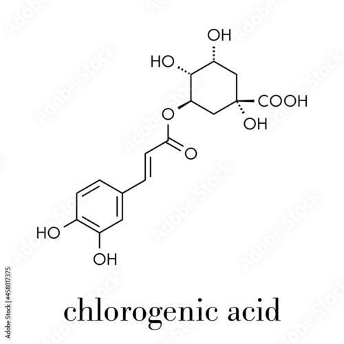 Chlorogenic acid herbal molecule. Skeletal formula.