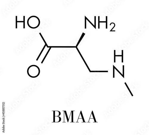 beta-Methylamino-L-alanine (BMAA) toxic amino acid molecule. Produced by cyanobacteria. Skeletal formula. photo