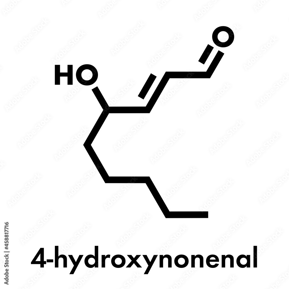 4-Hydroxynonenal (HNE) molecule. Metabolite produced by lipid peroxidation of polyunsaturated omega-6 fatty acids. Skeletal formula.