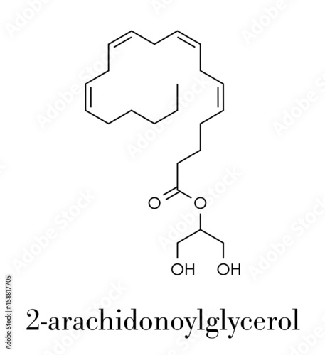 2-Arachidonoylglycerol (2-AG) endocannabinoid neurotransmitter molecule. Skeletal formula.