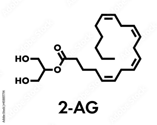 2-Arachidonoylglycerol (2-AG) endocannabinoid neurotransmitter molecule. Skeletal formula.