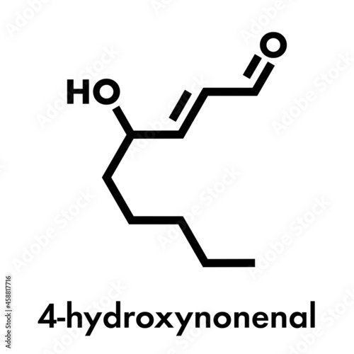 4-Hydroxynonenal (HNE) molecule. Metabolite produced by lipid peroxidation of polyunsaturated omega-6 fatty acids. Skeletal formula. photo