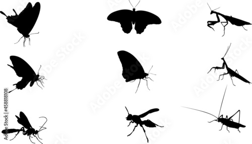 set of insects © zxr design