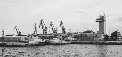 Ships in a seaport against the background of shipyard cranes