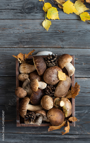 forest mushrooms and yellow autumn leaves on a wooden background 