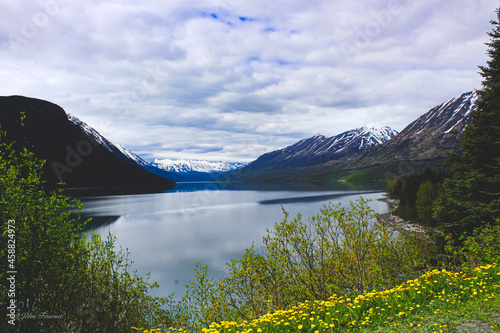 Alaskan Landscape