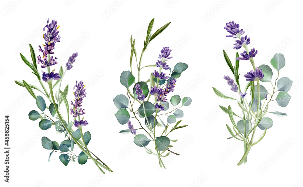 Watercolor eucalyptus leaves and violet lavender flower. Botanical bouquet, Greenery branches. Rustic design. Template. Wedding invitation. Floral wreath. Provence illustration. Isolated on white - obrazy, fototapety, plakaty 