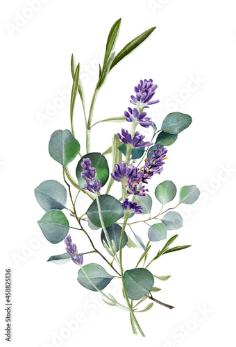 Watercolor eucalyptus leaves and violet lavender flower. Botanical bouquet, Greenery branches. Rustic design. Template. Wedding invitation. Floral wreath. Provence illustration. Isolated on white