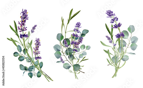 Watercolor eucalyptus leaves and violet lavender flower. Botanical bouquet, Greenery branches. Rustic design. Template. Wedding invitation. Floral wreath. Provence illustration. Isolated on white