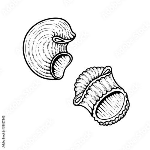 Pipe rigate pasta sketch. Doodle outline black and white vintage style macaroni illustration. Hand drawn isolated on white background.
