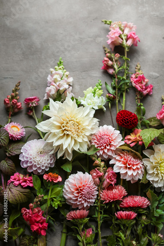 Different garden flowers on a gray-beige background. Dahlias, zinnias, antirriniums and asters lie on the table. Floral wallpapers and backgrounds. photo