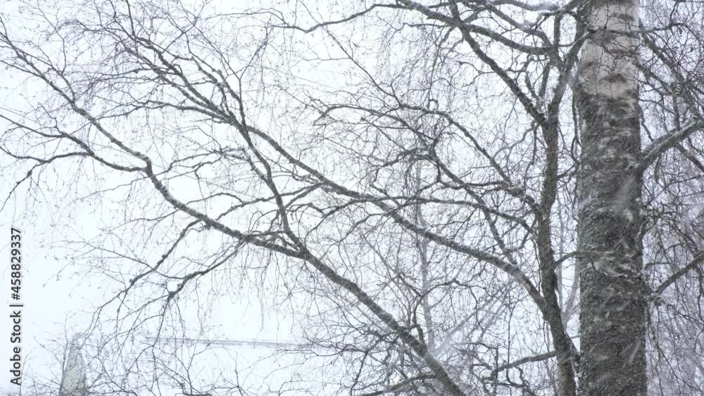 Snowfall in city, view from window. Snowdrifts. Snowy trees,cars, buildings and road selective focus Snowfall in city, view from window. Snowdrifts. Snowy trees,cars, buildings and road selective focus