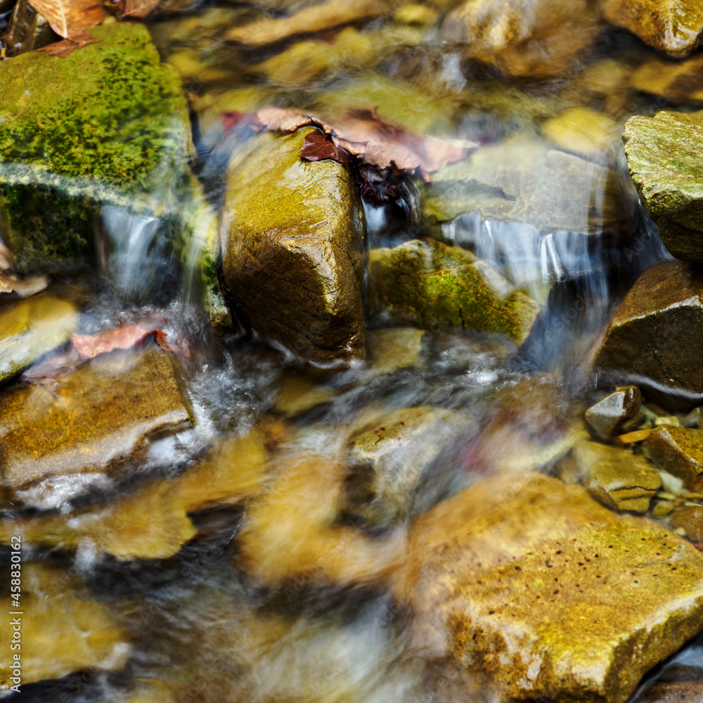 Obraz premium Mountain stream flowing between the stones.
