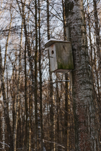 An empty birdhouse on a birch tree in the winter forest.