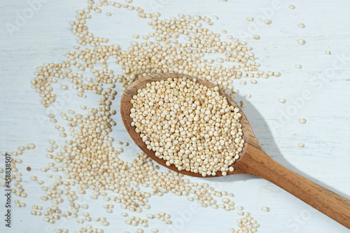 キヌア（西: Quínua、ケチュア語：kinwa または kinuwa、学名：Chenopodium quinoa）、栄養素の高い雑穀