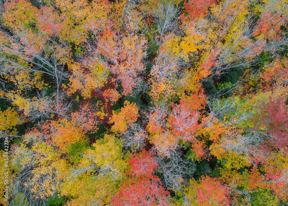 Aerial view of fall foliage in Michigan upper peninsula