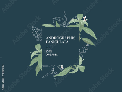 Andrographis paniculata leaves text mockup