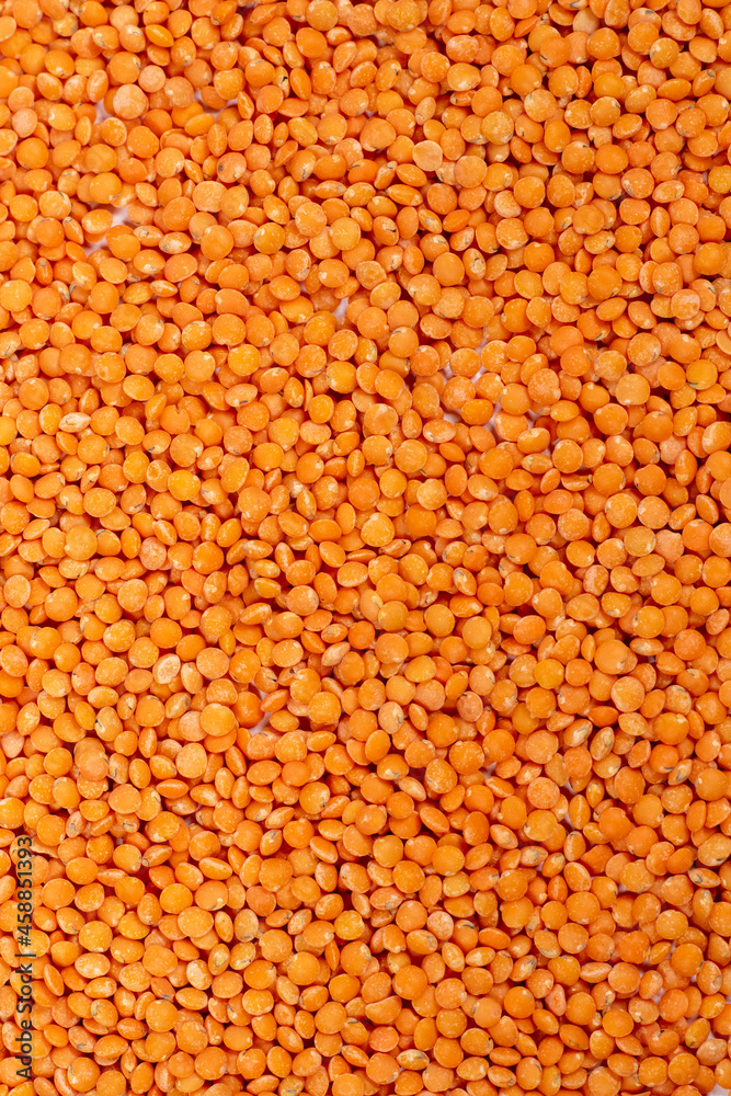 Masoor dal with white background Masoor dal with white background