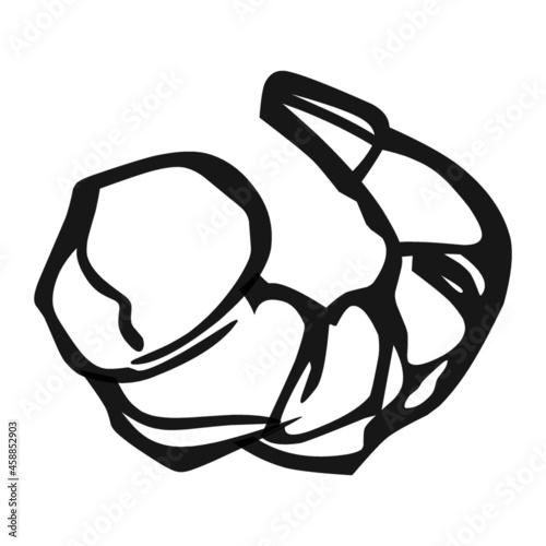 prawn of food hand drawn illustration