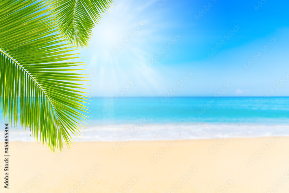Summer Vacation and Travel Holiday Concept : Palm leaves with blurred seascape view in summer seasonal.