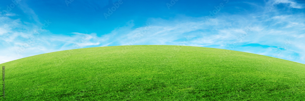 Green natural view of Green grass meadow field in public park with blue sky in background. Green natural view of Green grass meadow field in public park with blue sky in background.