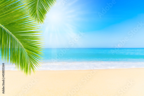 Summer Vacation and Travel Holiday Concept   Palm leaves with blurred seascape view in summer seasonal.