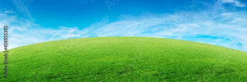 Green natural view of Green grass meadow field in public park with blue sky in background.