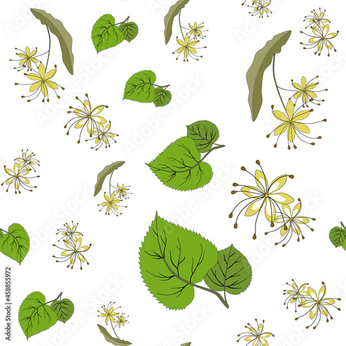 seamless pattern. summer spring linden leaves and linden flowers. Tilia europaea, common linden. vector green leaves and yellow flowers on a white background. medicinal plant on a white background