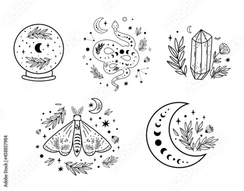 Celestial logo set. Floral moon circle logo moon logo. Moon phase, floral crystal, serpent, snake, moth, butterfly, crystal ball, stars occult collection. Celestial crescent. Vector illustration.