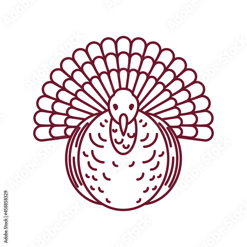 turkey bird animal