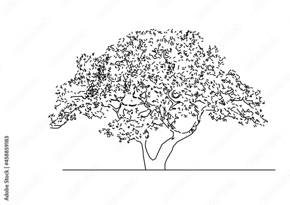 Fototapeta premium tree silhouette vector