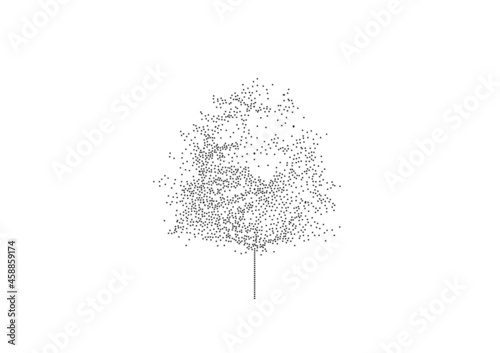 christmas tree isolated on white