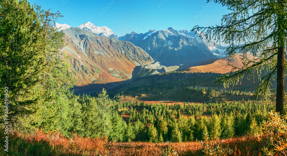 Autumn in a mountain valley, morning light, panoramic view, Altai