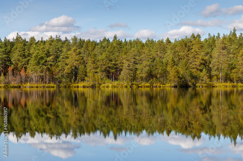 A beautiful forest lake with a reflection of trees and clouds.