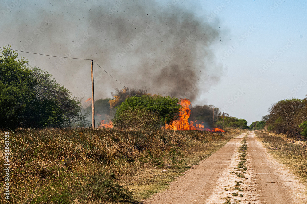 Naklejka premium Incendio Forestal