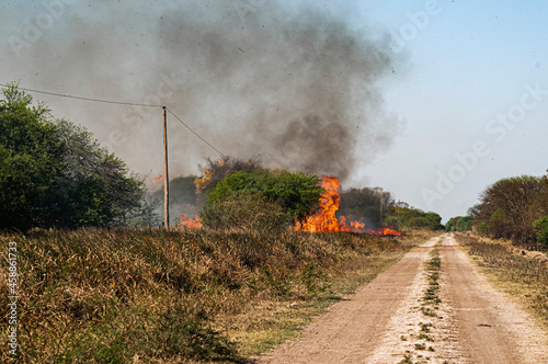 Incendio Forestal