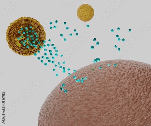 nanodrug delivery system with liposomes encapsulation cancer cell targeting photo