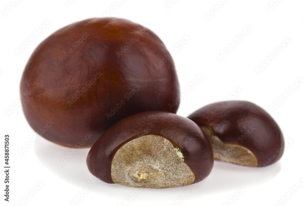 Chestnuts isolated on white background.