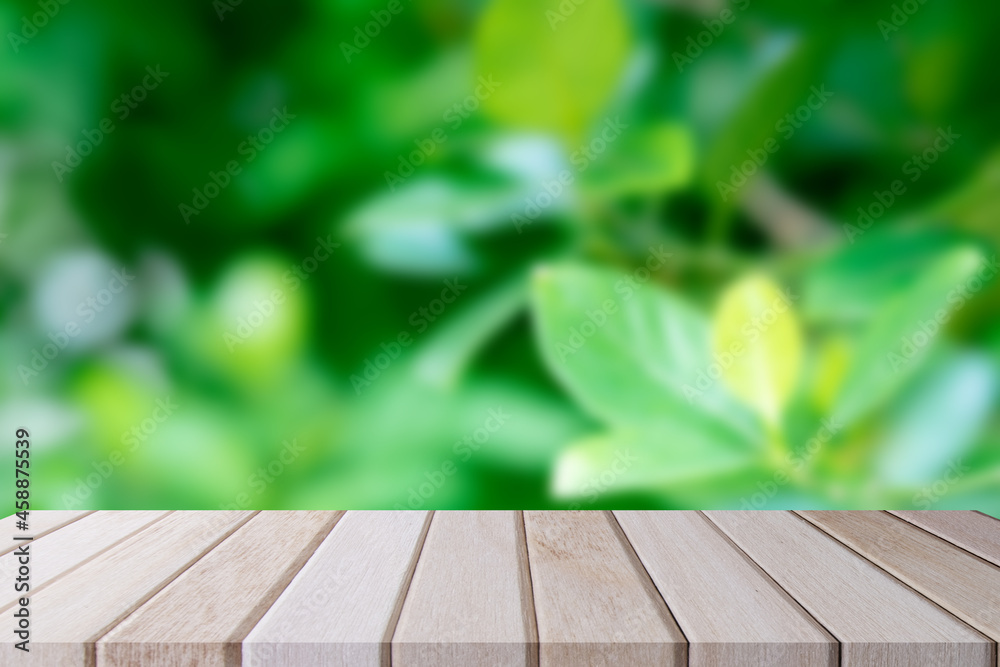 Wooden plank table desk and green natural Gynura Divarigata tree background blur. For displaying trade items, product and more.
