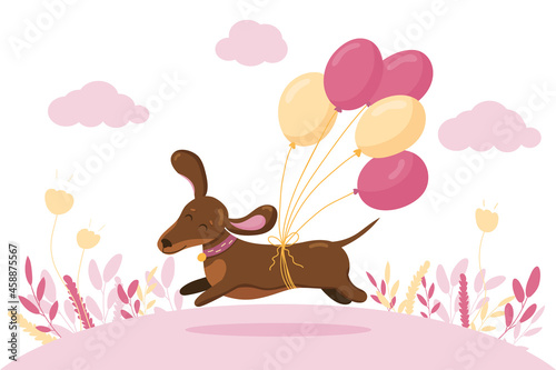Cute dachshund run in love mood with air balloons. Pink cloud and plants on white background. Vector illustration. Saint Valentine's greeting day card. 