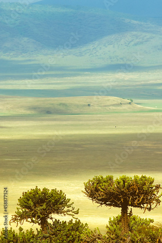 Paysage du cratère du N'Gorongoro, volcan de Afrique, Tanzanie