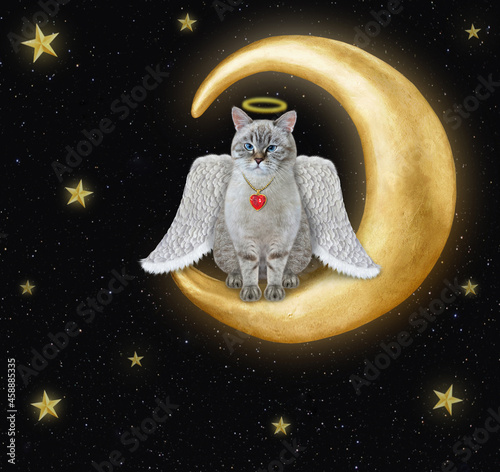 An ash cat angel is sitting in the moon at night. photo